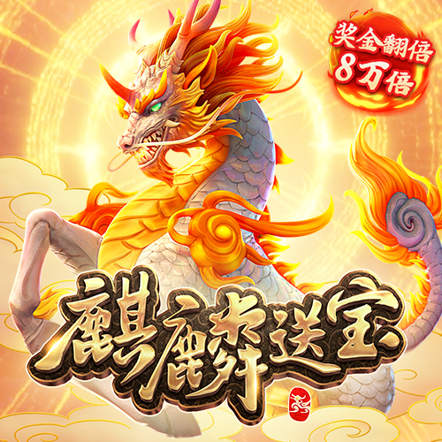 4G彩票官方网站入口